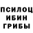 Псилоцибиновые грибы Psilocybine cubensis enzo xtz