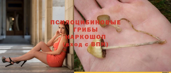 а пвп мука Балахна