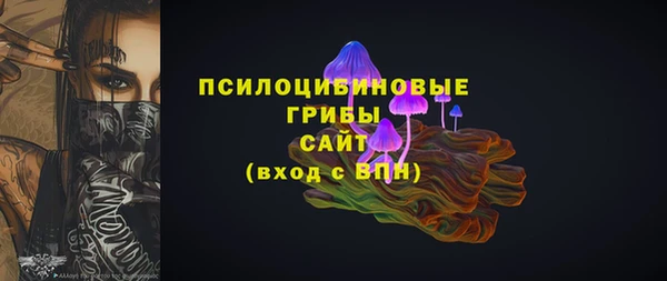 дмт Белокуриха